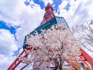 【抽選結果】札幌市営住宅の前期募集について 2024年4月